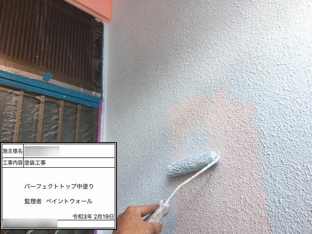 ⑤外壁中塗り