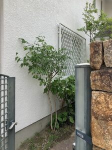 ペイントウォールの施工後写真