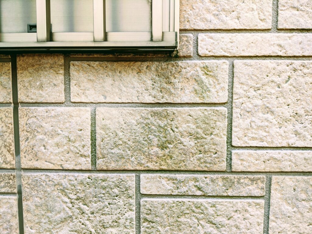 湿気の影響で外壁にコケや藻、カビが付着している様子｜外壁塗装ペイントウォール