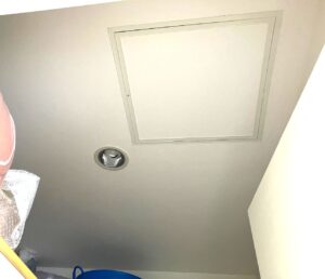 内装　完工後　ペイントウォール