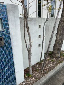 西宮市　施工前写真