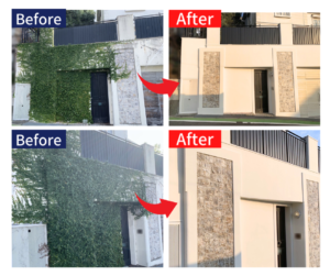 ツタ除去と外壁塗装ビフォーアフター
