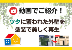 ツタに覆われた外壁を丁寧に塗装し、美しく再生したBefore・Afterの比較画像。ペイントウォールによる外壁塗装の施工事例を動画で紹介。