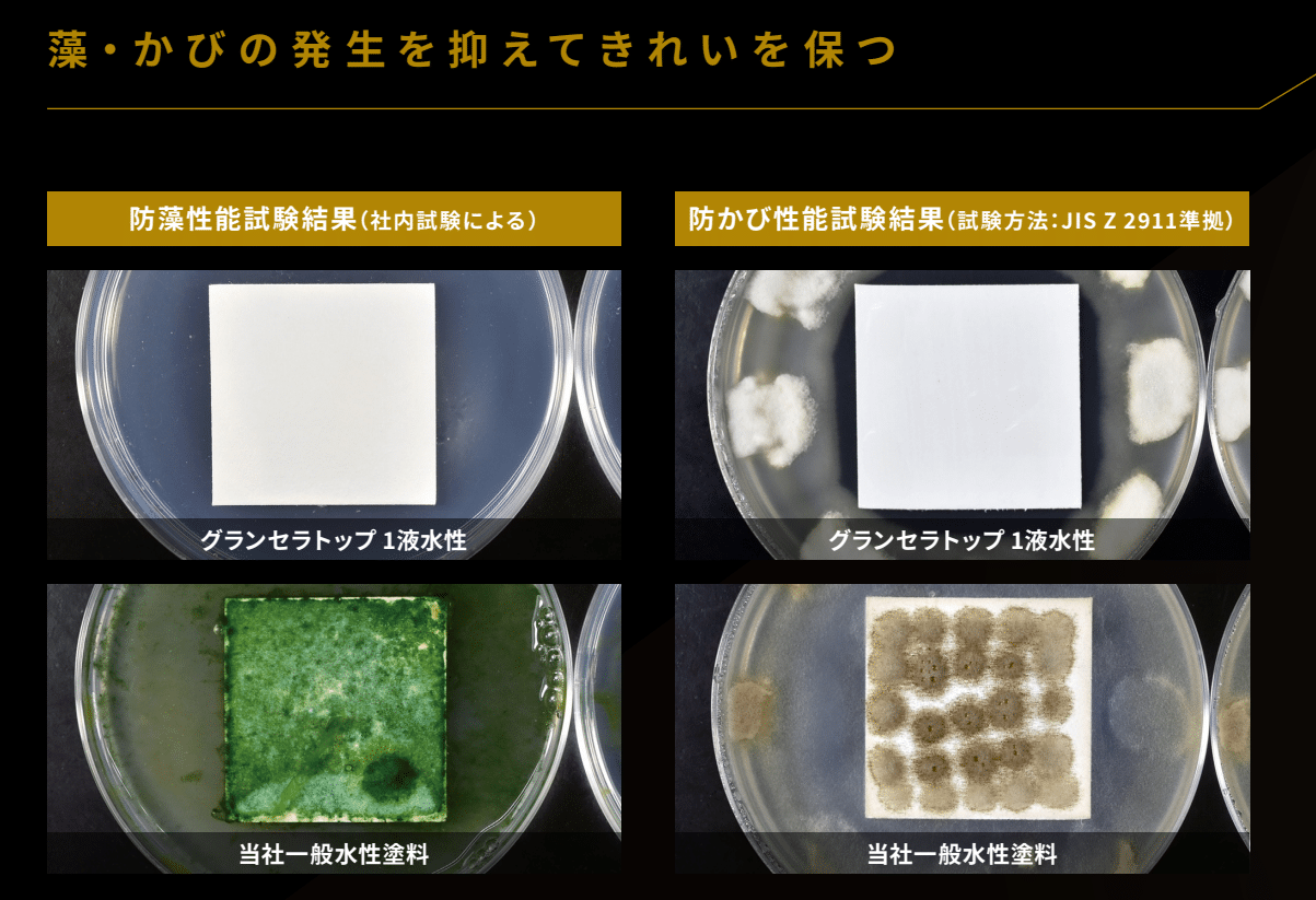 グランセラトップ1液水性の防藻・防かび性能試験結果比較写真。一般水性塗料との差を示す