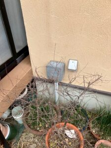 川西市　外壁塗装前