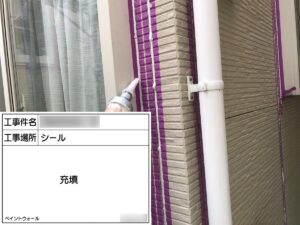 オートンイクシード充填